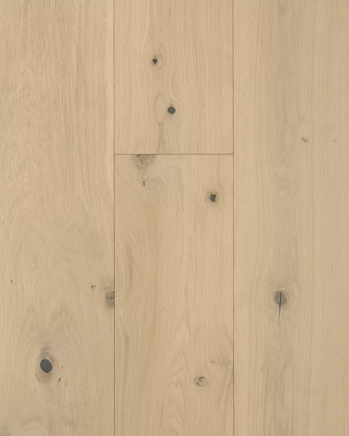 Moda Capri Feature Plank | Forté AU