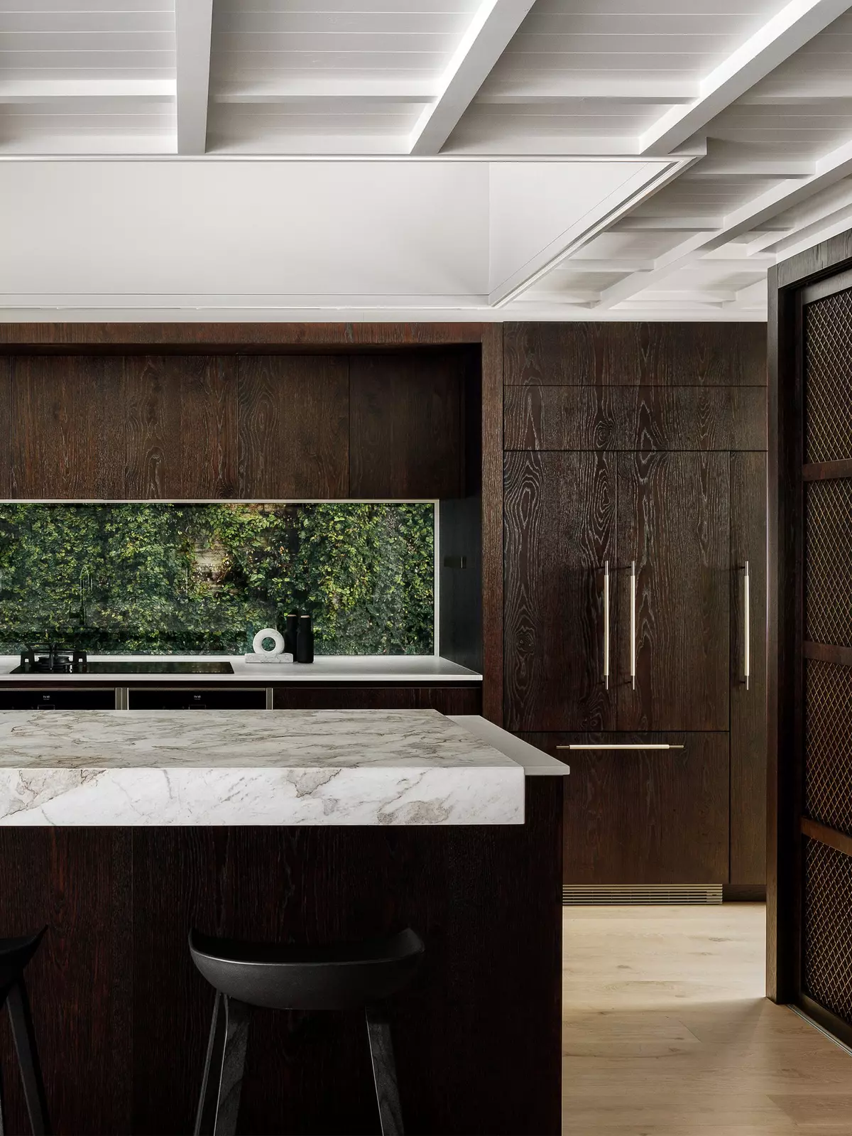 Plane Tree | Forté NZ