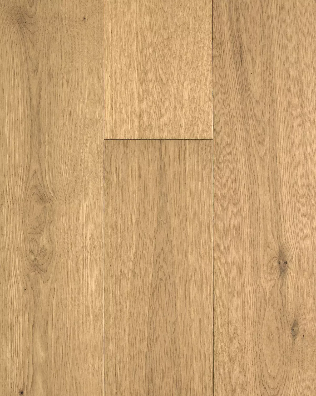 Loft Brighton Feature Plank | Forté