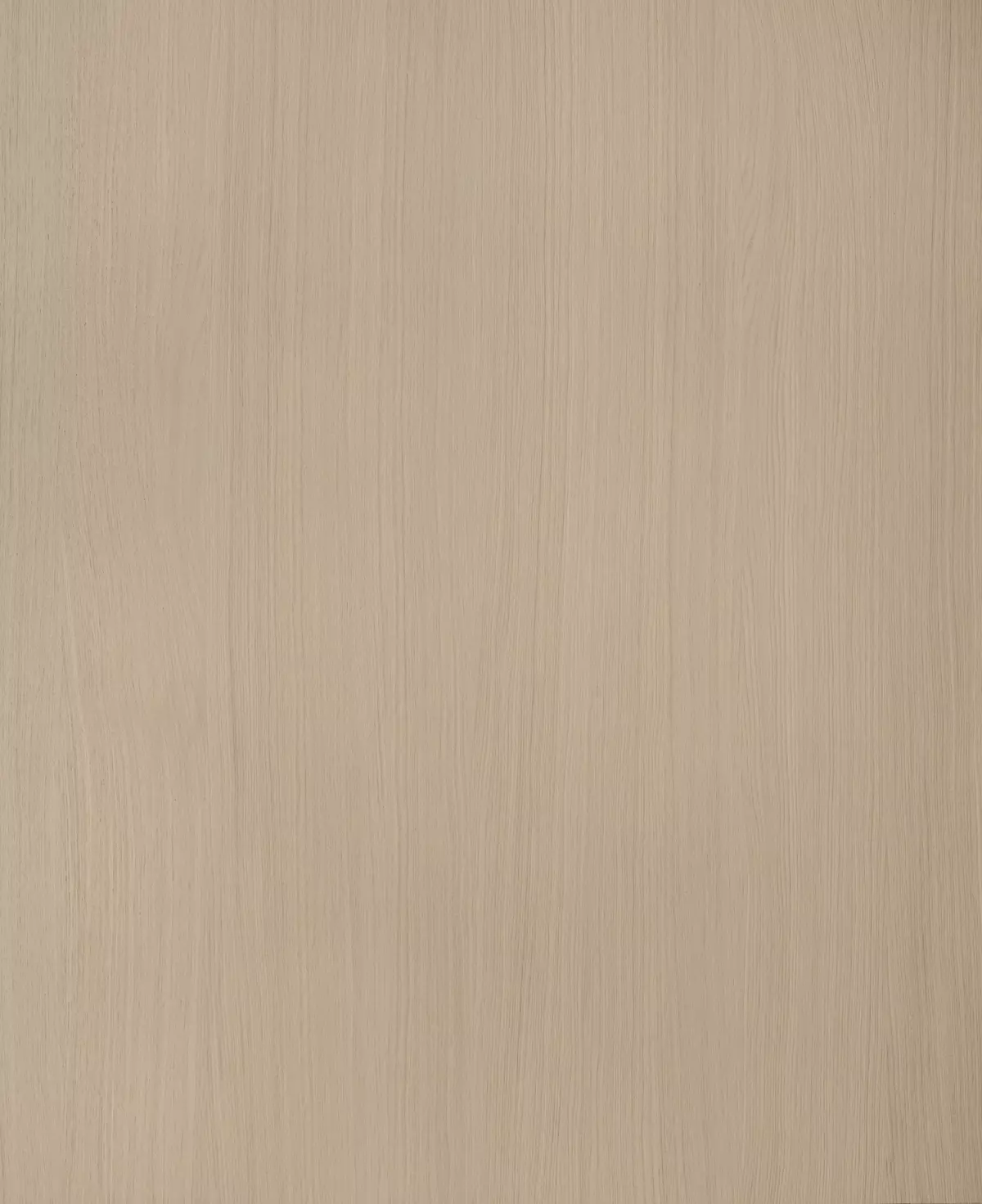 Alor Cove Oak 1F1B 3050mm Veneer Panel | Forté